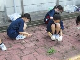 プール清掃③