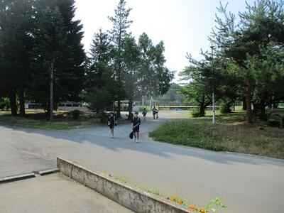 通常登校