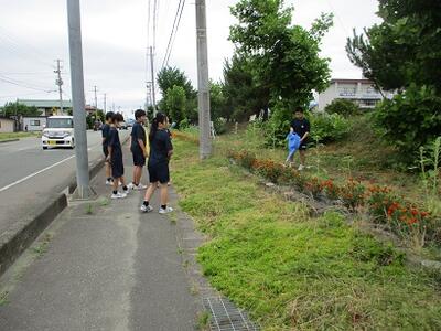 花壇の水やり②